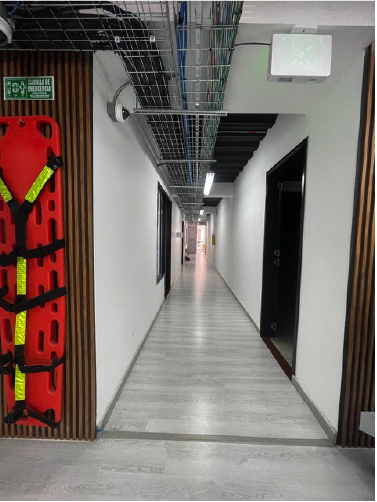 rednextMesa de trabajo 7_